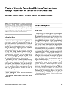 Effects of Mesquite Control and Mulching Treatments on