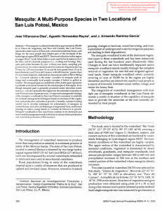 Mesquite: A Multi-Purpose Species in Two Locations of J. Armando Ramirez-Garcia1