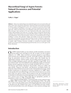 Mycorrhizal Fungi of Aspen Forests: Natural Occurrence and Potential Applications Cathy L. Cripps