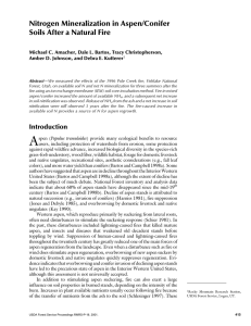 Nitrogen Mineralization in Aspen/Conifer Soils After a Natural Fire