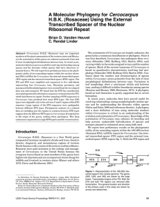 A Molecular Phylogeny for Cercocarpus H.B.K. (Rosaceae) Using the External