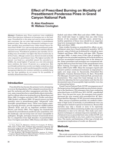 Effect of Prescribed Burning on Mortality of Canyon National Park