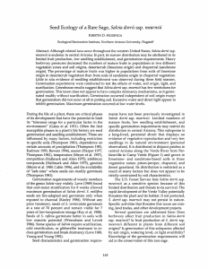 Salvia dorrii mearnsii Ecology of  a Rare Sage, ssp.