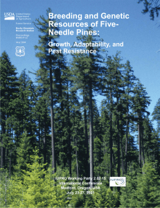 Breeding and Genetic Resources of Five- Needle Pines: Growth, Adaptability, and