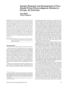 Genetic Research and Development of Five- Pinus Europe: An Overview Ioan Blada