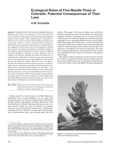 Ecological Roles of Five-Needle Pines in Colorado: Potential Consequences of Their Loss
