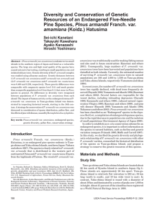 Diversity and Conservation of Genetic Resources of an Endangered Five-Needle Pinus armandii amamiana