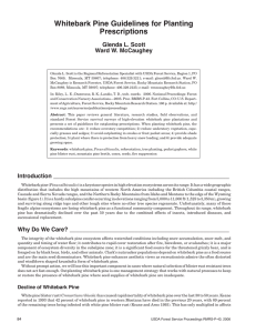 Whitebark Pine Guidelines for Planting Prescriptions Glenda L. Scott Ward W. McCaughey