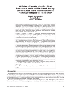 Whitebark Pine Germination, Rust Resistance, and Cold Hardiness Among