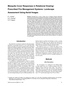 Mesquite Cover Responses in Rotational Grazing/ Prescribed Fire Management Systems: Landscape