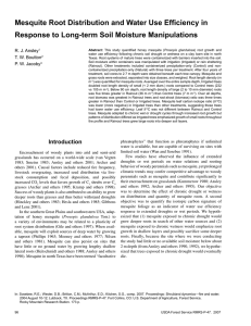 Mesquite Root Distribution and Water Use Efficiency in