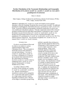 Further Elucidation of the Taxonomic Relationships and Geographic Escobaria sneedii guadalupensis