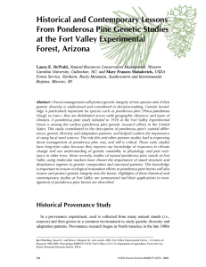 Historical and Contemporary Lessons From Ponderosa Pine Genetic Studies