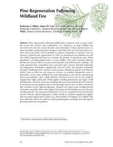 Pine Regeneration Following Wildland Fire Katherine J. Elliott, James M. Vose, White,
