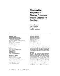 Physiological Responses of Planting Frozen and Thawed Douglas-Fir