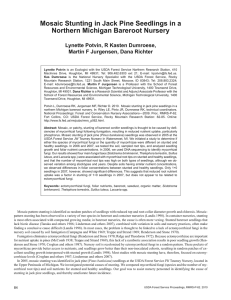 Mosaic Stunting in Jack Pine Seedlings in a