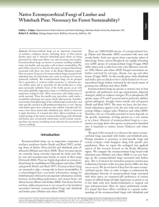 There are 7,000-10,000 species of ectomycorrhizal fun-