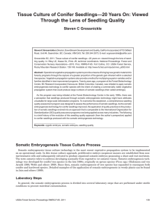 Tissue Culture of Conifer Seedlings—20 Years On: Viewed Steven C Grossnickle