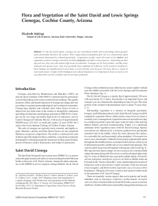 Flora and Vegetation of the Saint David and Lewis Springs