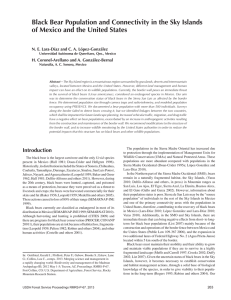 Black Bear Population and Connectivity in the Sky Islands