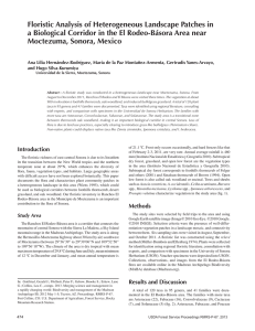 Floristic Analysis of Heterogeneous Landscape Patches in