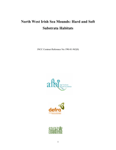 North West Irish Sea Mounds: Hard and Soft Substrata Habitats