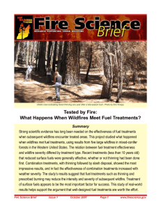 Tested by Fire: What Happens When Wildfires Meet Fuel Treatments?