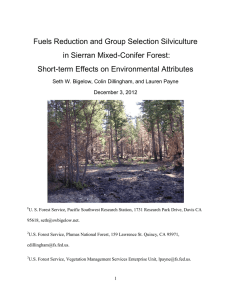 Fuels Reduction and Group Selection Silviculture in Sierran Mixed-Conifer Forest: