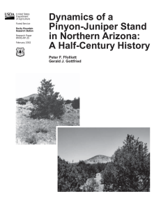 Dynamics of a Pinyon-Juniper Stand in Northern Arizona: A Half-Century History