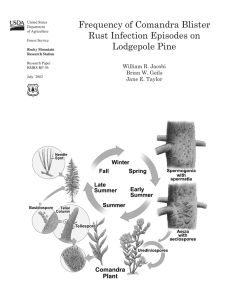 Frequency of Comandra Blister Rust Infection Episodes on Lodgepole Pine William R. Jacobi