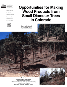 Opportunities for Making Wood Products from Small Diameter Trees
