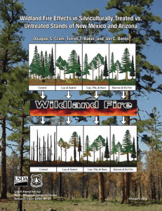 Wildland Fire Effects in Silviculturally Treated vs. USDA Forest Service