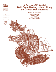 A Survey of Potential Bald Eagle Nesting Habitat Along William W. Bowerman