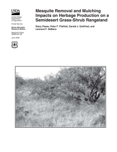 Mesquite Removal and Mulching Impacts on Herbage Production on a