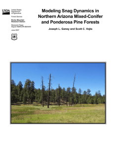 Modeling Snag Dynamics in Northern Arizona Mixed-Conifer and Ponderosa Pine Forests