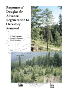 Response of Douglas-fir Advance Regeneration to