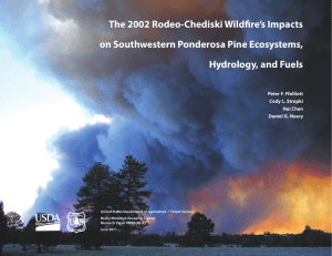 The 2002 Rodeo-Chediski Wildfire’s Impacts on Southwestern Ponderosa Pine Ecosystems,