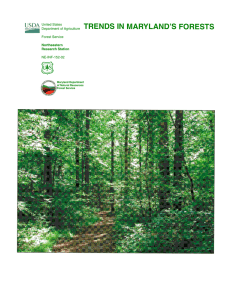 TRENDS IN MARYLAND’S FORESTS United States Department of Agriculture Forest Service