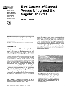 Bird Counts of Burned Versus Unburned Big Sagebrush Sites Bruce L. Welch