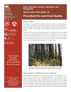 Prescribed Fire and Visual Quality Fuels Planning: Science Synthesis and Integration