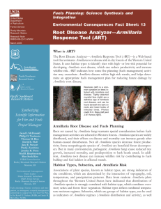 Armillaria A Fuels Planning: Science Synthesis and Integration