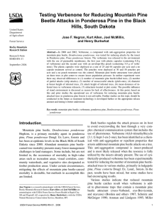 Testing Verbenone for Reducing Mountain Pine Hills, South Dakota