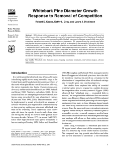 Whitebark Pine Diameter Growth Response to Removal of Competition