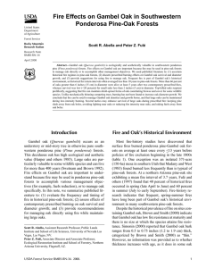 Fire Effects on Gambel Oak in Southwestern Ponderosa Pine-Oak Forests