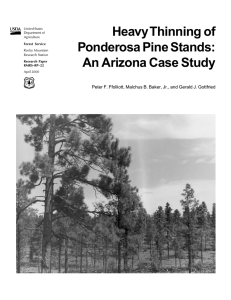 Heavy Thinning of Ponderosa Pine Stands: An Arizona Case Study