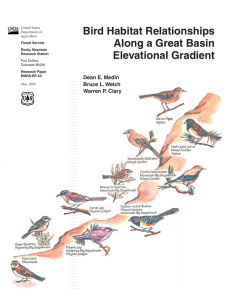 Bird Habitat Relationships Along a Great Basin Elevational Gradient Dean E. Medin