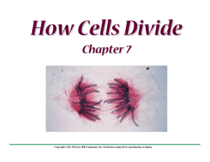 How Cells Divide Chapter 7
