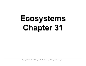 Ecosystems Chapter 31