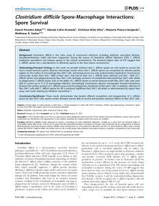Clostridium difficile Spore-Macrophage Interactions: Spore Survival