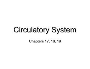 Circulatory System Chapters 17, 18, 19